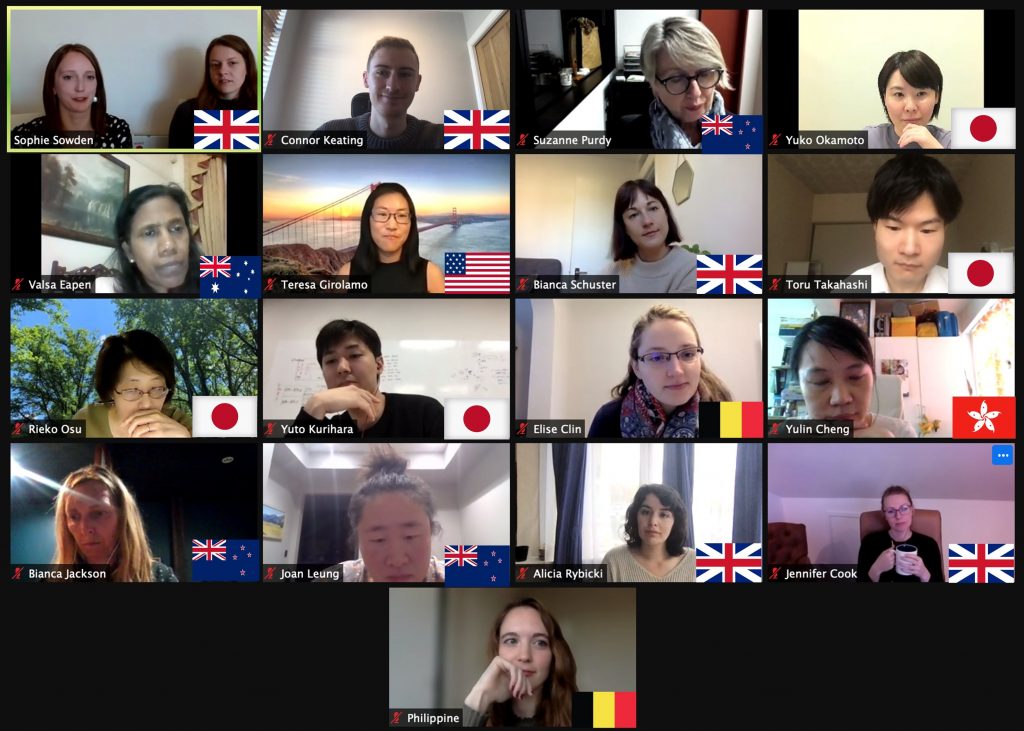 Virtual Meeting Screen Capture